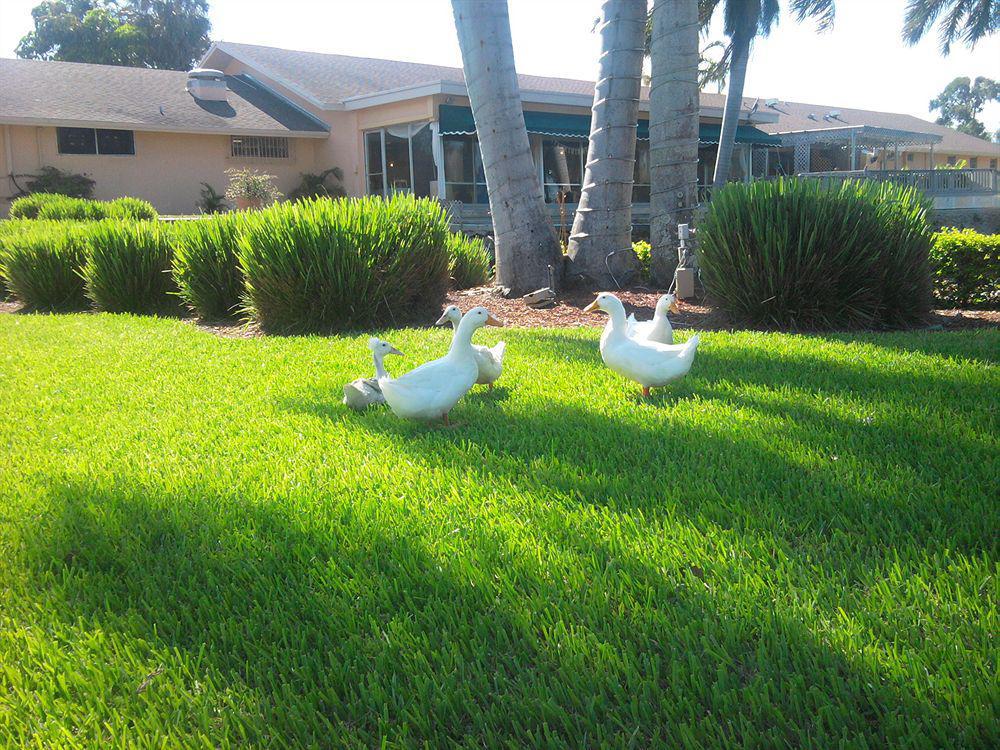 Hollywood Beach Golf Resort Eksteriør bilde